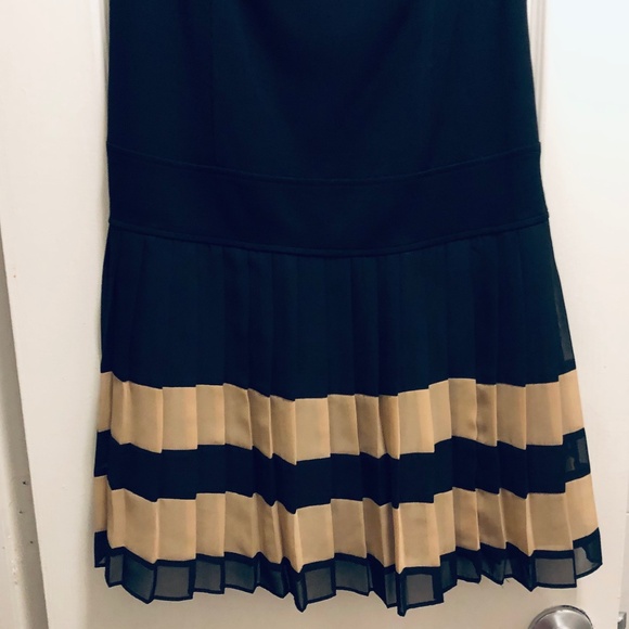 Drop Waist Pleated Dress - Picture 3 of 4